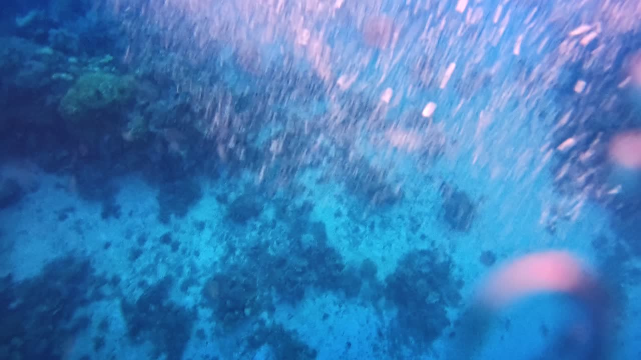 모터보트를 타고 항해하는 동안 카메라를 수중에 넣습니다.