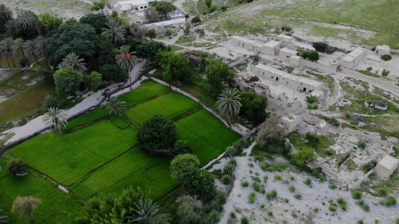 vista aérea del pueblo ubicado en khuzdar con exuberantes árboles verdes y jardines rodeados por un paisaje desértico