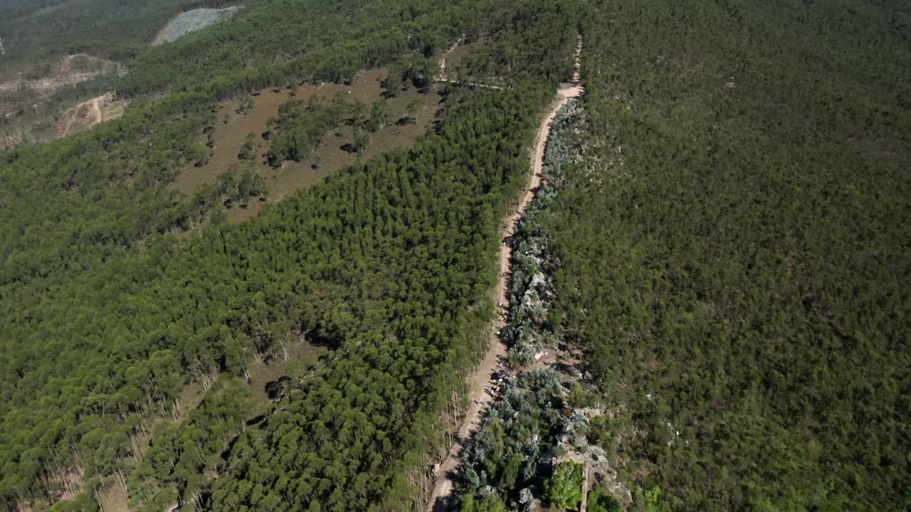 vista aérea de pájaro por encima de multitudes de corredores reunidos corriendo por senderos en colinas boscosas