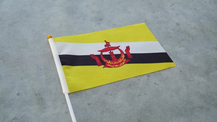 Nærbillede af Bruneis nationalflag. Koncept med Bruneis flag