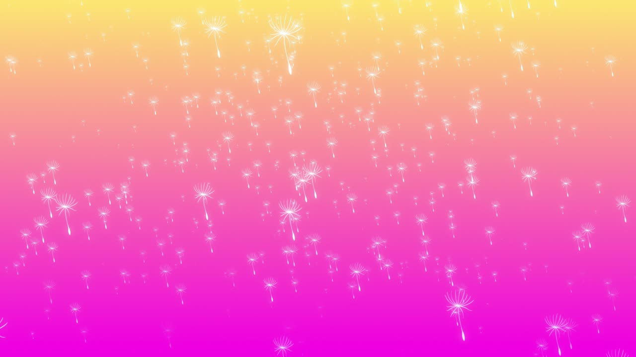 사탕수수 꽃은 하늘에서 부드러운 그라디언트 파스텔 배경 시각 효과 모션 그래픽 3d 다이내 추상 분홍색 노란 빛으로 떨어집니다.