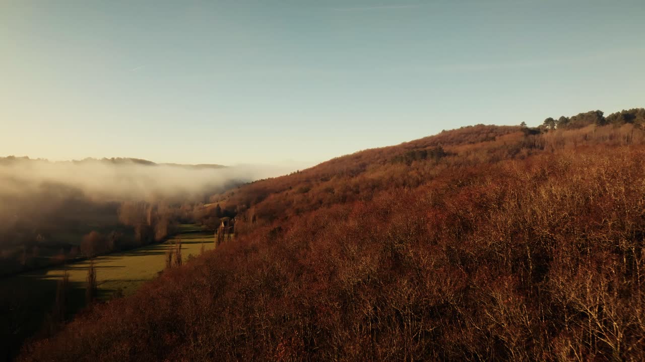 프랑스 풍경의 안개, 오크 숲 위에서 드론 촬영. nouvelle-aquitaine의 dordogne