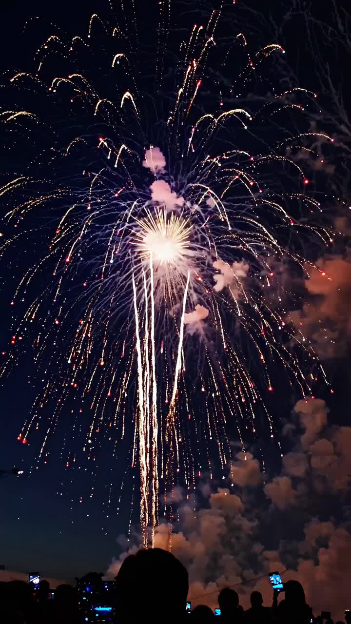 Fogos de artifício vibrantes explodem no céu noturno, capturados de um ângulo baixo, com espectadores silhuetados