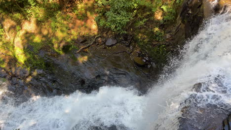 Panning-reveal-of-natural-waterfall-in-forest