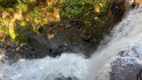 panorámica revelan cascada natural en el bosque