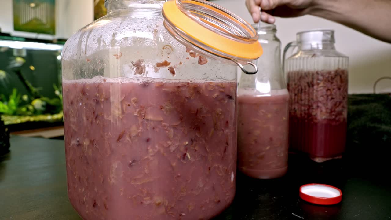 Bolle che salgono in barattoli di vetro durante il processo di fermentazione del kvass di barbabietola fatto in casa. Una persona mescola la bevanda probiotica con un cucchiaio