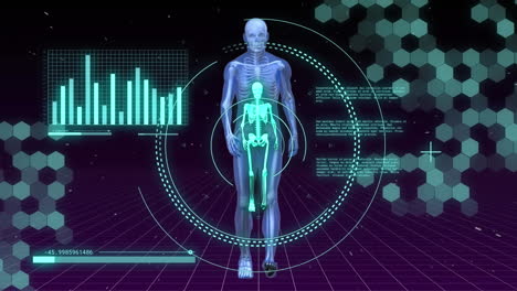 animación del procesamiento de datos y escaneo de alcance sobre la caminata del esqueleto.