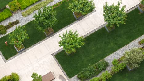 jardín de patio urbano