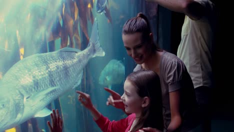 happy family looking at fish tank