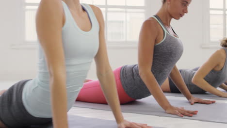 clase de yoga grupo multirracial de mujeres que hacen ejercicio físico estilo de vida saludable