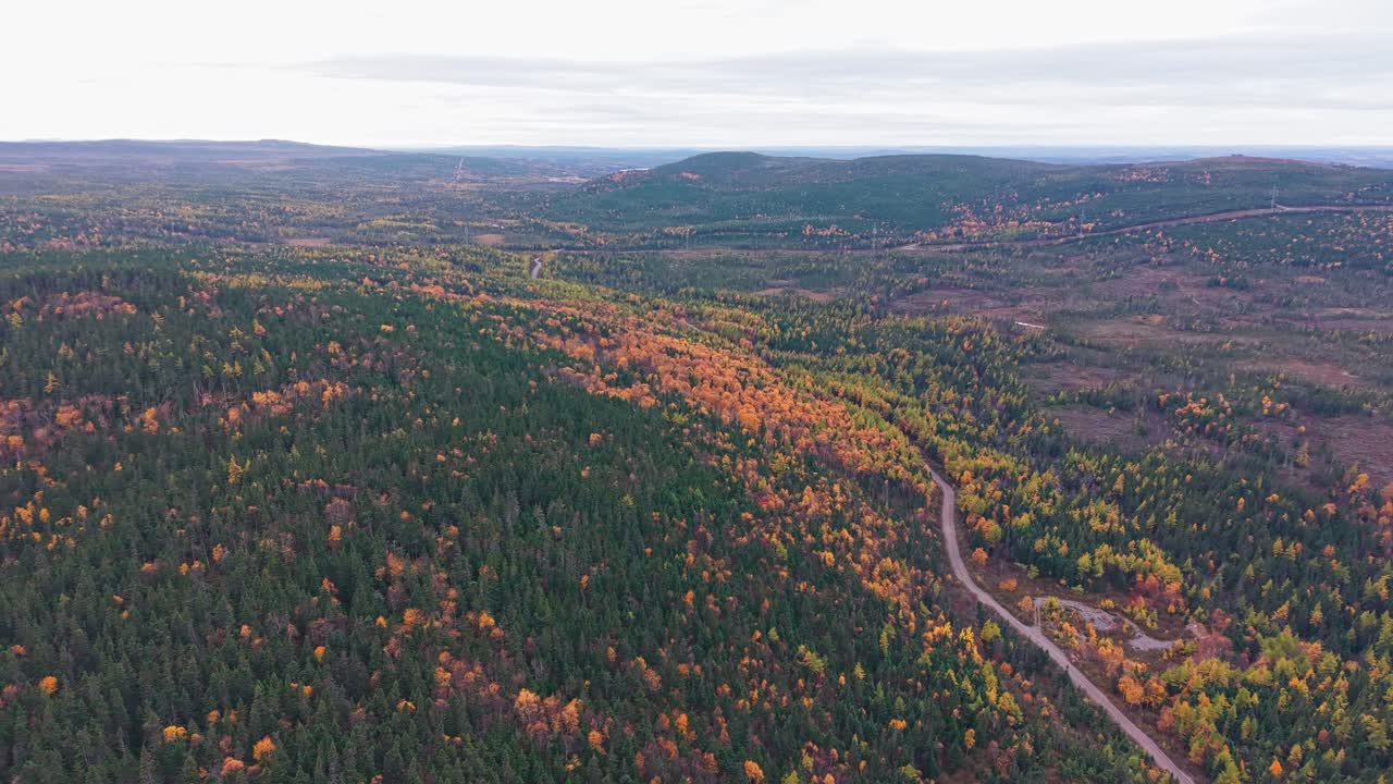 Drone footage shows winding river through colourful valley with vibrant fall colours