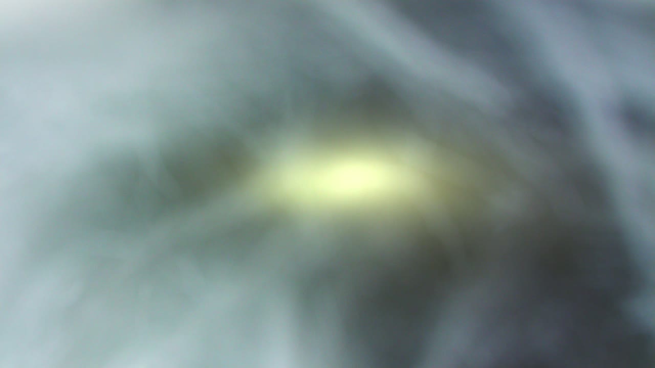 foto macro de una estructura de piel