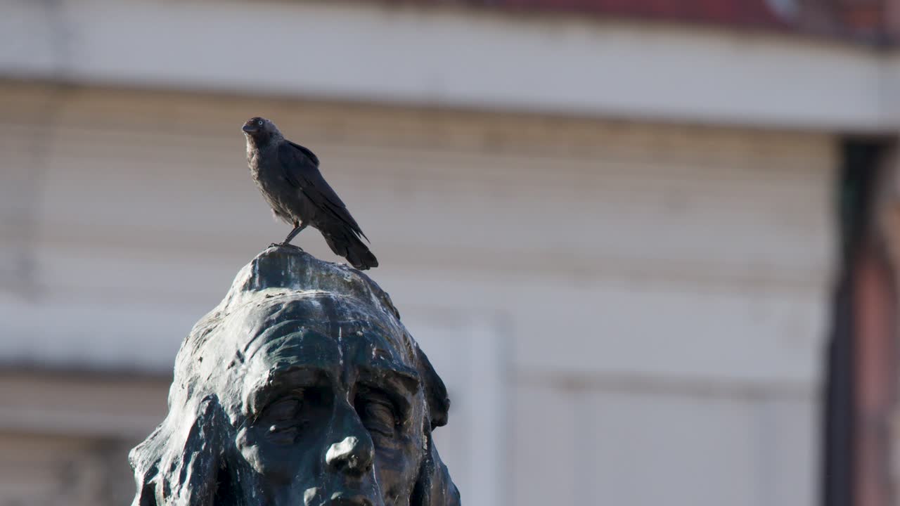 A small bird perches, then flies away from a bronze statue in bright daylight, Prague