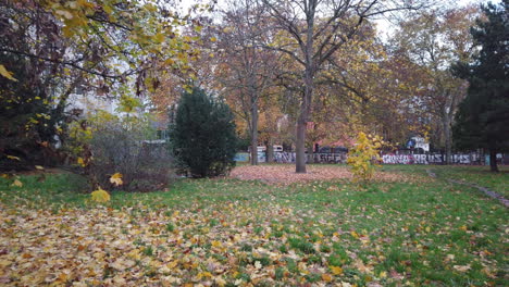 Herbst-In-Berlin,-Spaziergang-Im-Park-59,94-Osmo-Djii-Pocket-4K-10-Teil-2-Sek