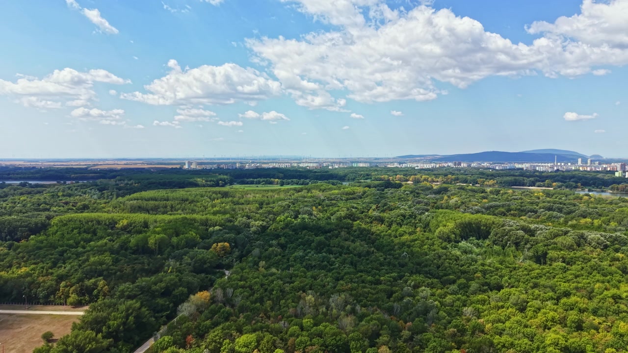 Vista di foresta verde e paesaggio urbano di giorno in un'area aperta con nuvole nel cielo, che mostra una fusione di natura e città