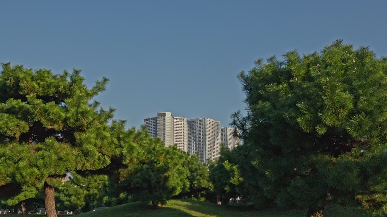 Lush green trees frame a view of towering modern skyscrapers against a clear blue sky, illustrating the coexistence of nature and urban development in Tokyo.