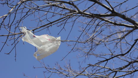 Plastic-Bag-Stuck-in-a-Tree