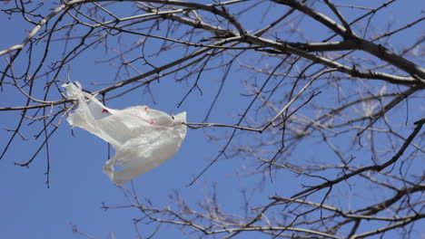 Plastiktüte-In-Einem-Baum-Stecken