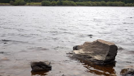 Forest-woodland-lake-shore-pebble-stones-scenic-countryside-landscape-left-dolly-closeup