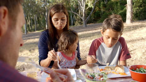 Familia-De-Raza-Mixta-Comen-Juntos-En-Una-Mesa-De-Picnic-En-Un-Parque