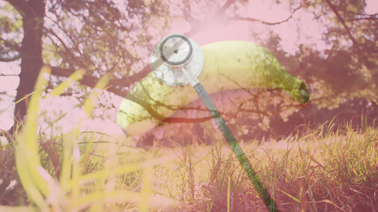 Blending nature with medical concept, stethoscope on banana in grass animation