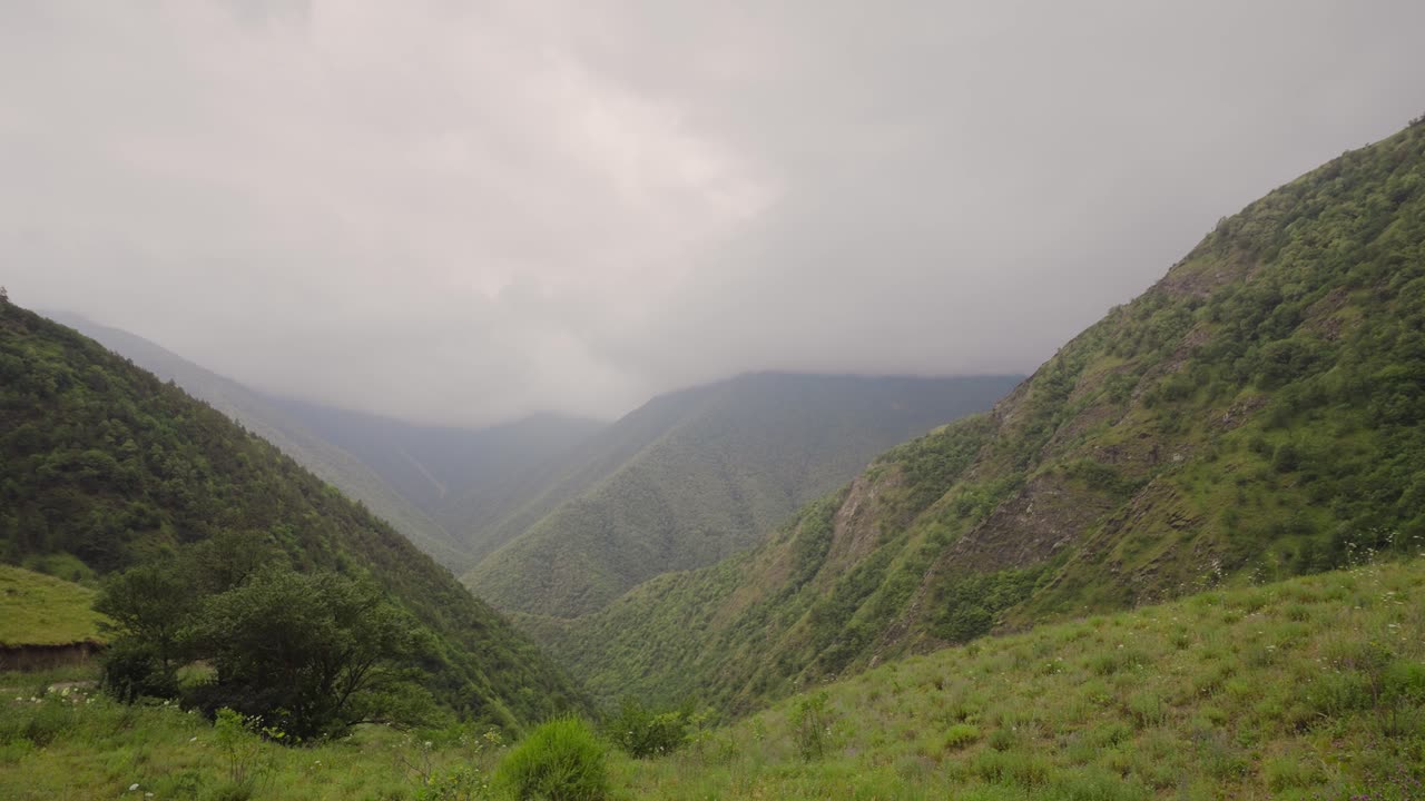 el valle de la montaña brumosa