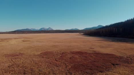 4K-Drone-fly-over-open-country-field-in-the-Sawtooth-Mountains,-Stanley-Idaho