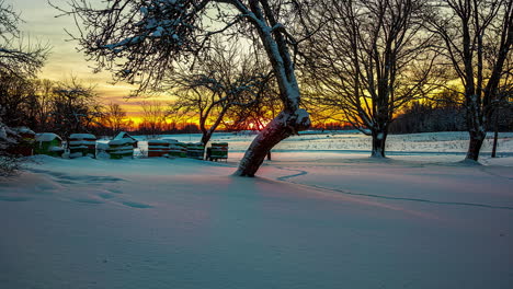 time lapse shot of golden sunrise on snowy farm field and apiary in winter