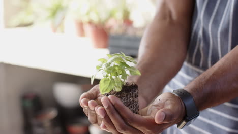 hands gently holding young plant with soil, nurturing growth in garden setting, in greenhouse