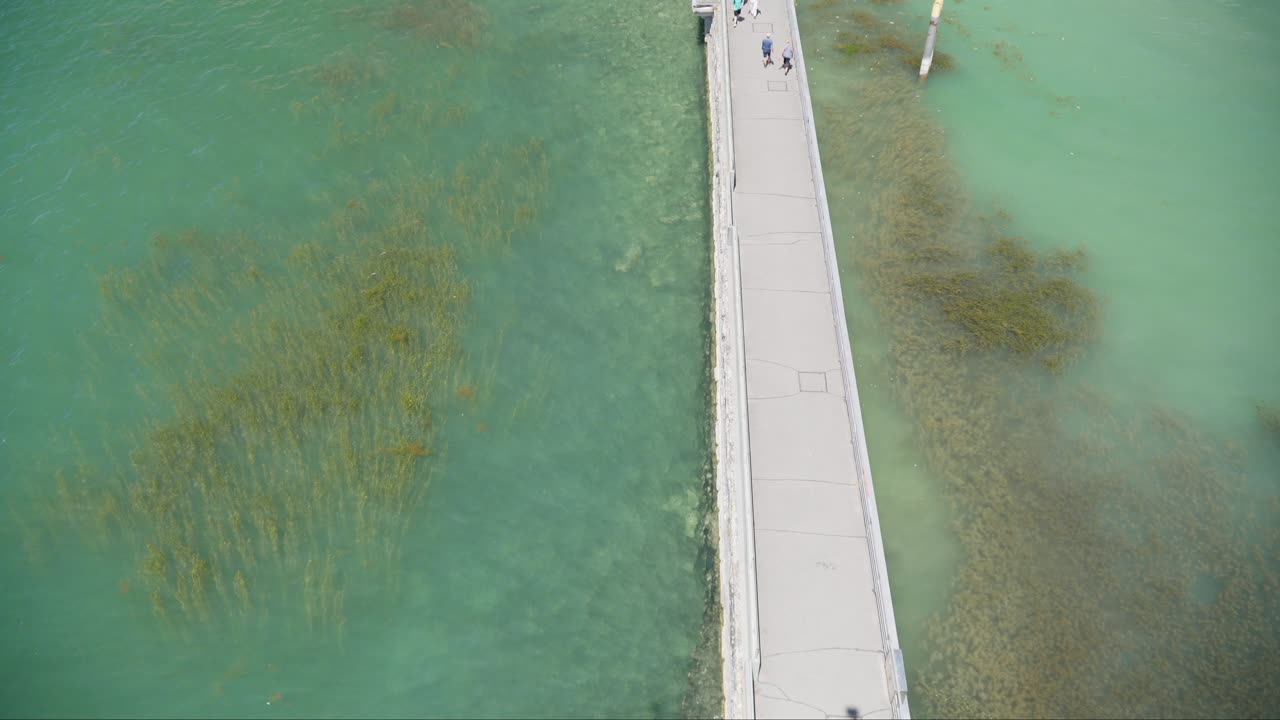 움직임은 해조류가 광합성을 위해 빛을 포착하고 영양분을 흡수하도록 도와줍니다.