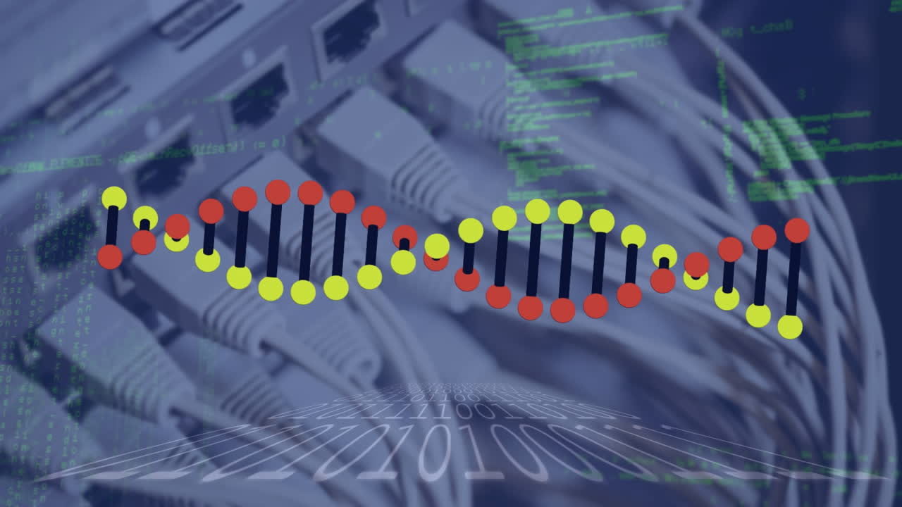 Animation of data processing and dna strand over server