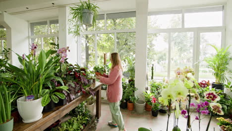 mujer en una tienda de plantas