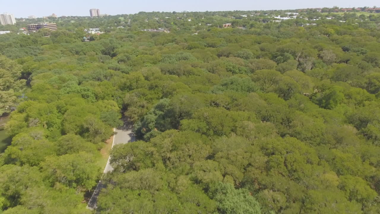 Uma tarde ensolarada em um parque da cidade coberto por belas árvores