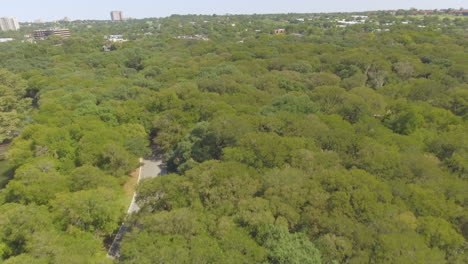 A-sunny-afternoon-at-a-city-park-covered-with-beautiful-trees