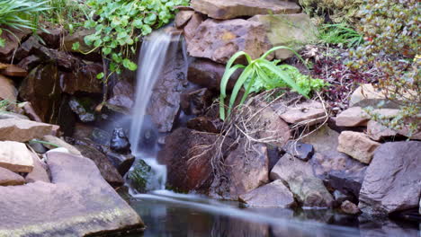 Zeitraffer-Und-Langzeitbelichtung-Eines-Süßwasserteiches