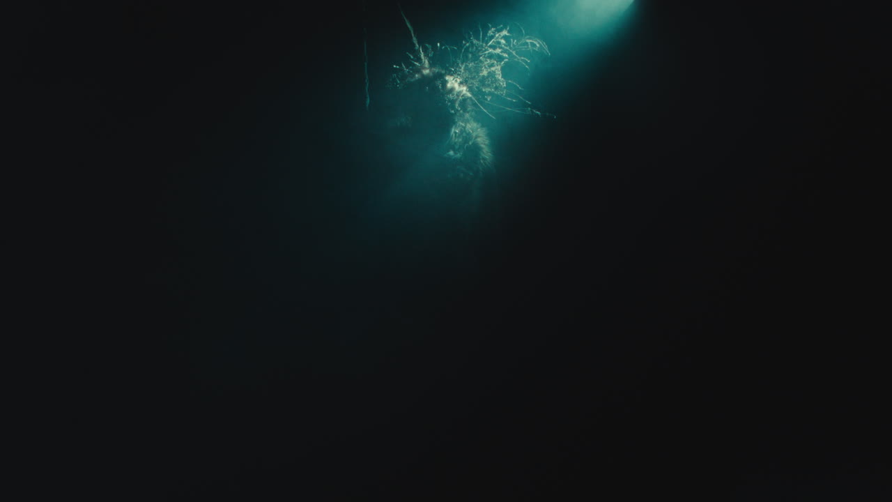 A creepy witch stands in the moody pose during the night storm