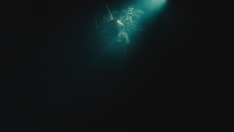 a creepy witch stands in the moody pose during the night storm
