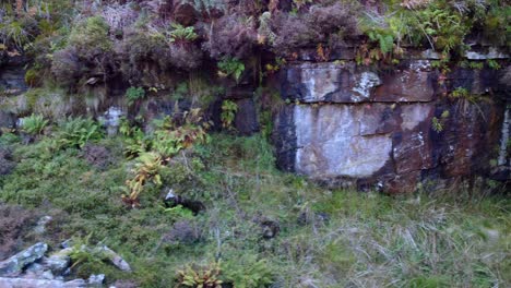 Young-woman-sat-with-her-back-to-the-camera-,-the-a-sweeping-right-shot-that-reveals-a-lush-green-valley-after-a-close-up-of-some-ferns-and-rocks