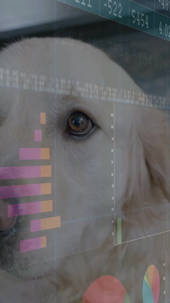 Aggiornamento dati in arrivo, testa di cane che si gira, grafici a barre e a torta, un ticker scorre sul monitoraggio della salute degli animali domestici tramite eye tracking.