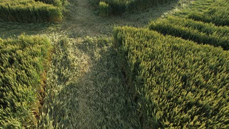 Vista-Aérea-De-Un-Dron-Bajo-Sobre-La-Colina-Hackpen-Círculo-De-Cultivo-Tierras-De-Cultivo-Campo-De-Trigo-Patrón-De-Surco-Pradera-De-Hierba-Rural