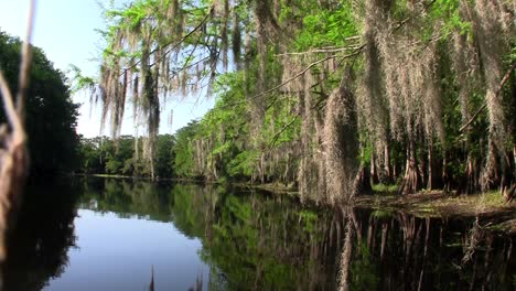 POV-from-a-boat-through-the-Florida-Everglades