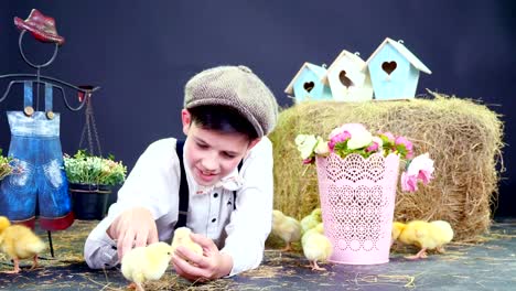 village, stylishly dressed cute boy playing with ducklings and chickens, studio video with thematic decor. in the background a haystack, colored bird houses, and flowers