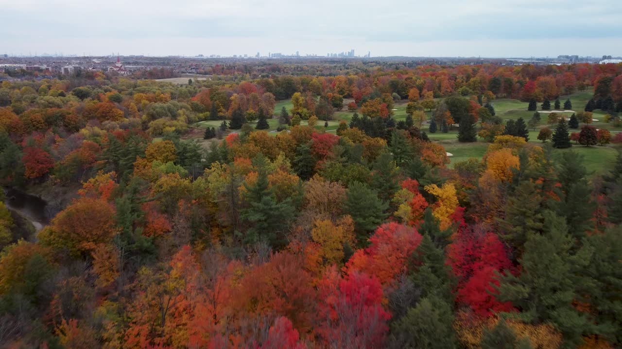 volar sobre un bosque y árboles en un día de otoño, nublado y malhumorado
