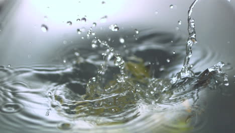plátanos cayendo en el agua