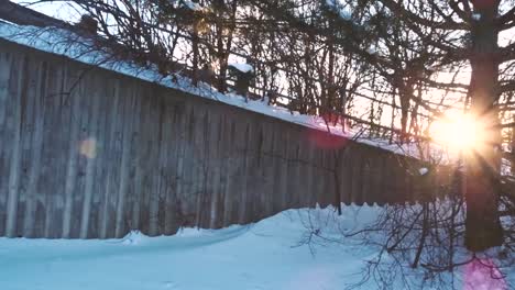 Dramatische-Aufnahme-Von-Lichtstrahlen,-Die-Während-Der-Goldenen-Stunde-Durch-Bäume-Fallen