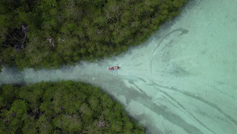 two tourists kayaking on a turquoise river in a mangrove forest in belitung indonesia, aerial birds eye view