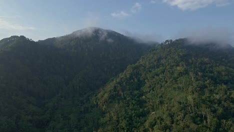 Aerial-of-mountain-forest-against-blue-sky-in-sunny-morning