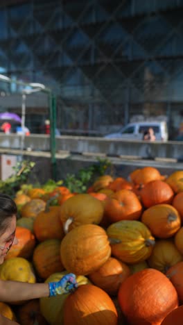 woman picking pumpkins at a market