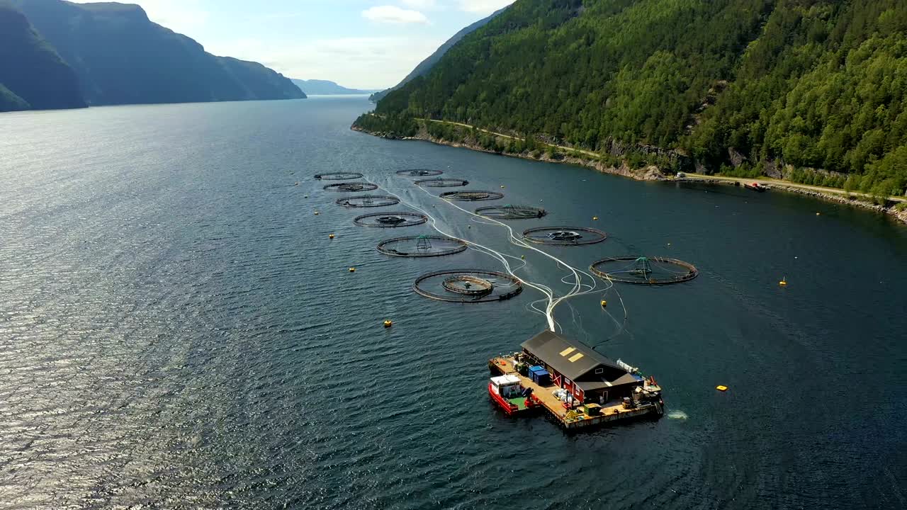 воздушные кадры рыболовства лосося на ферме в норвегии