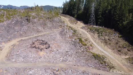 Aerial-View-of-Logged-Forest-of-Port-Alberni,-Vancouver-Island,-Canada